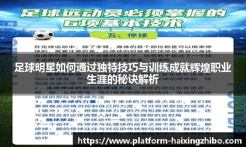 海星体育在线直播