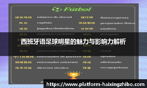 西班牙语足球明星的魅力与影响力解析